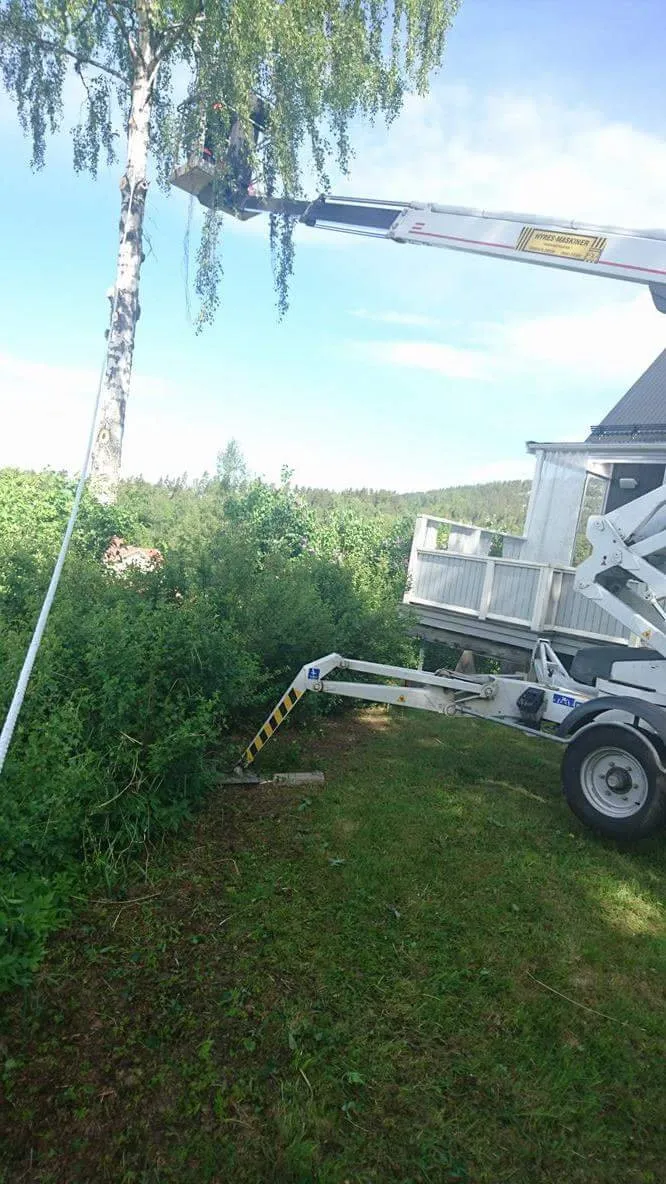 Sektionsfällning detalj