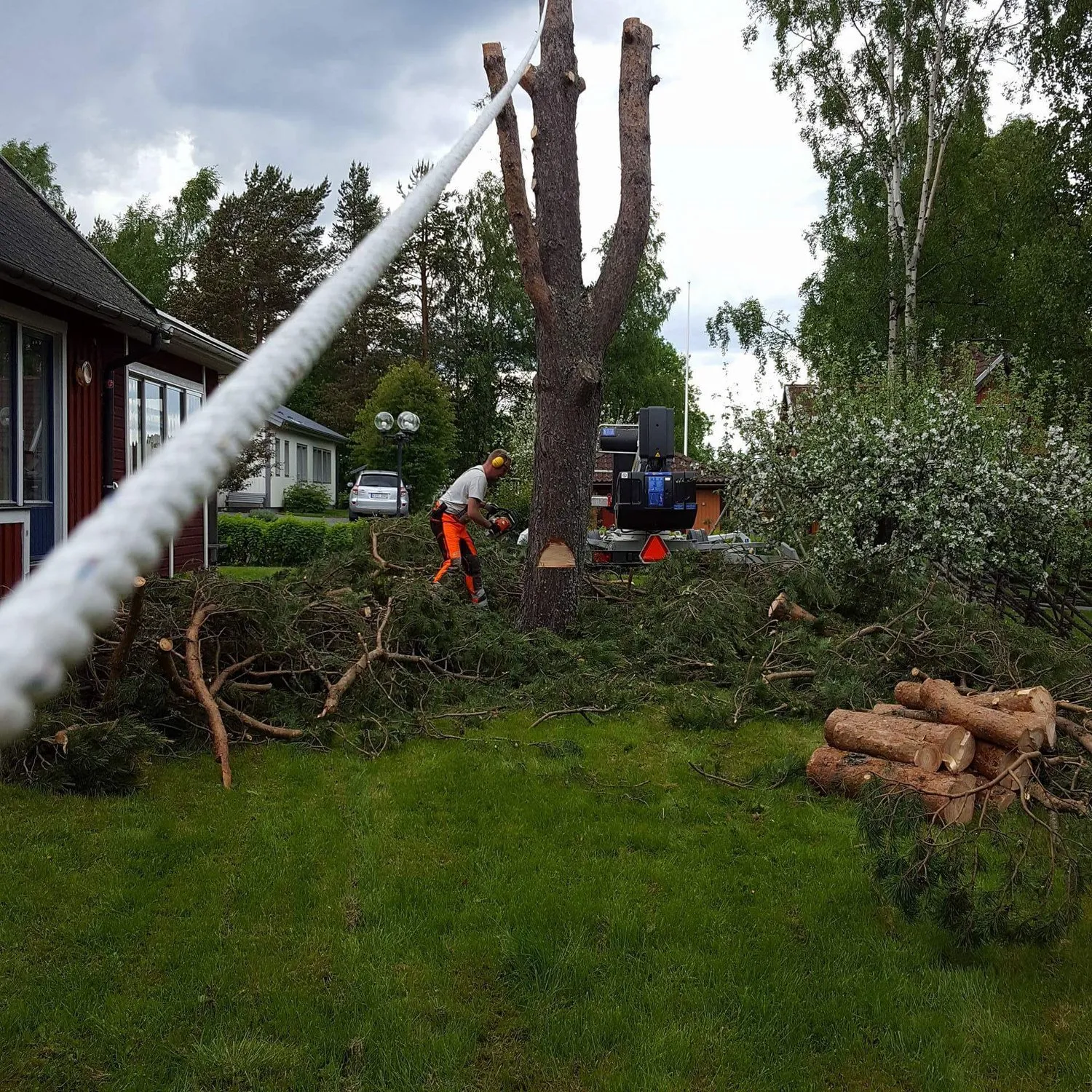 Sektionsfällning i tätbebyggt område