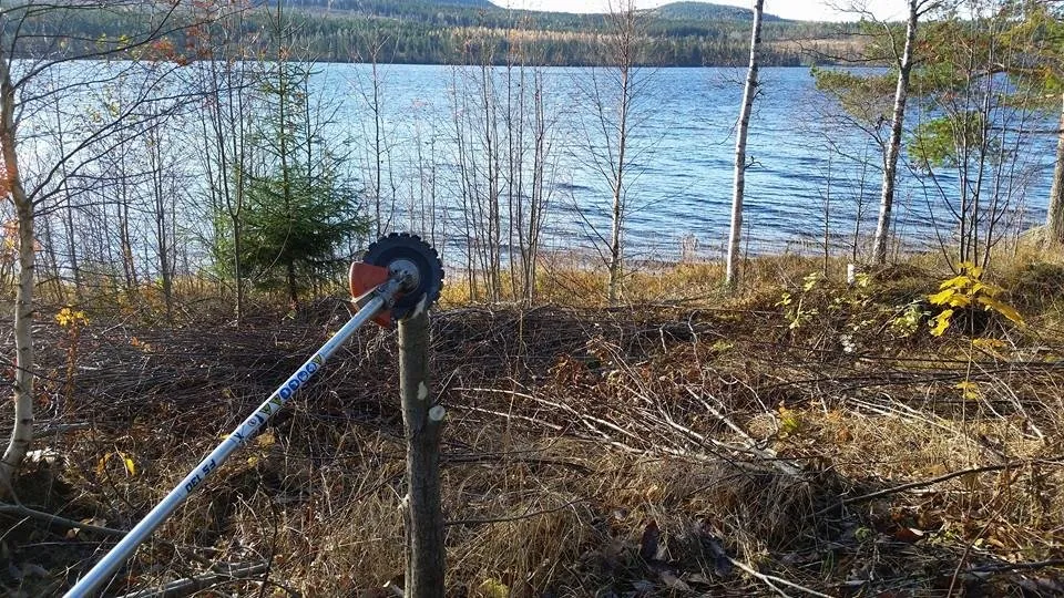 Daniel med röjsåg i skog